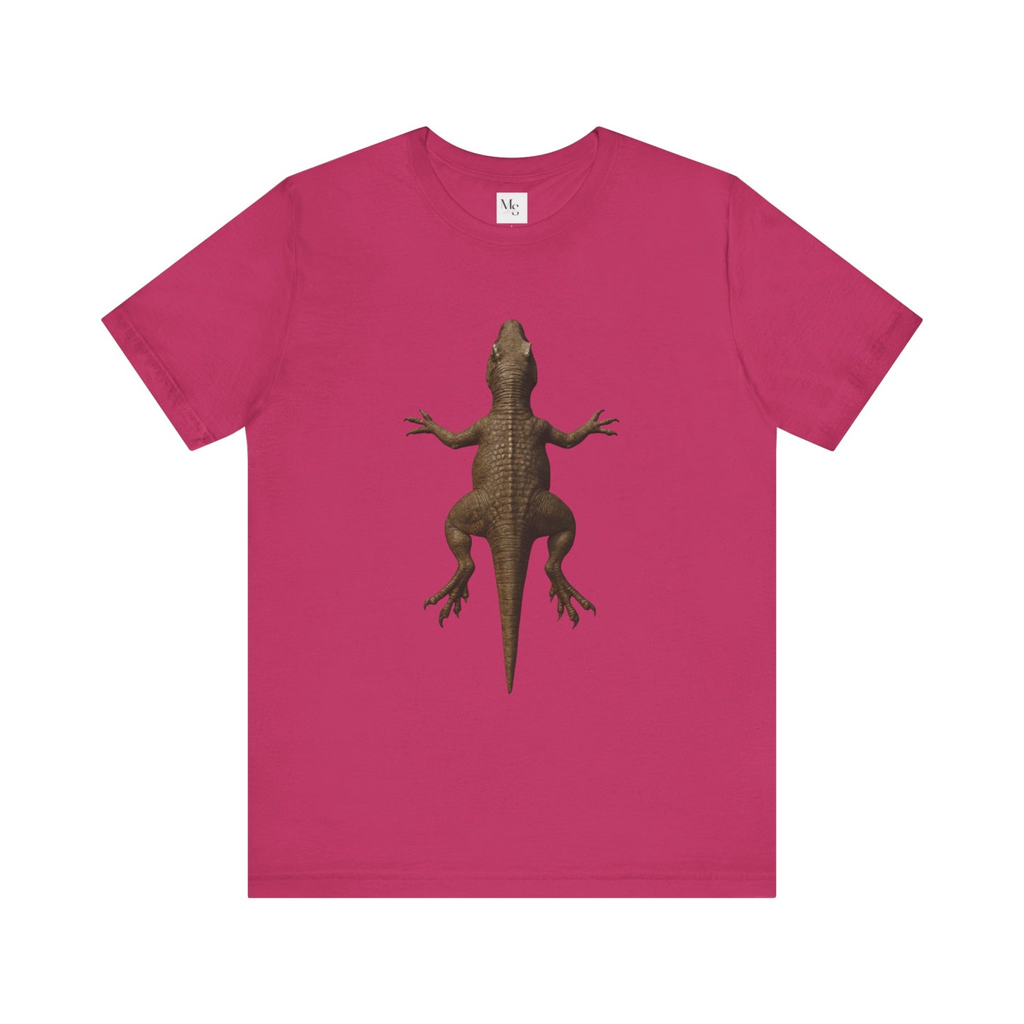 T-Rex Overhead View T-Shirt – Unisex Dino-Rug Style Tee